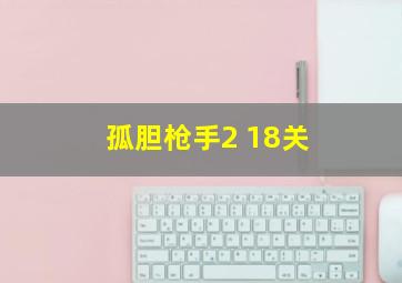 孤胆枪手2 18关